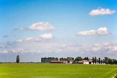 乡村景观