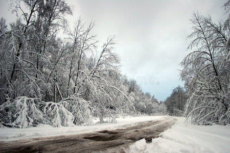 冬季道路