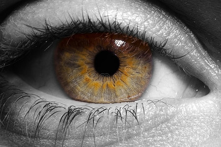 眼睛特写黑白照片