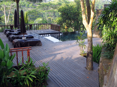 巴厘岛。丛林室外游泳池