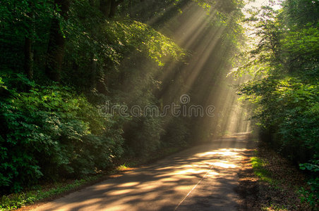 光太阳太阳光照片