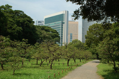 市中心 城市景观 东京 建筑学 自然 日本人 高的 树叶