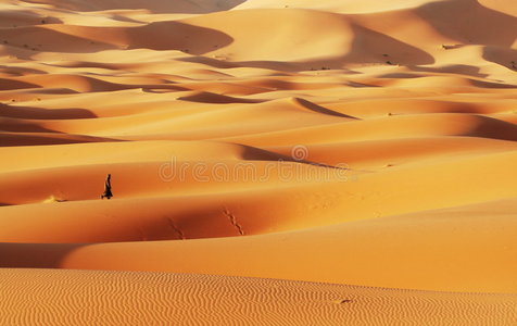 沙哈拉图片