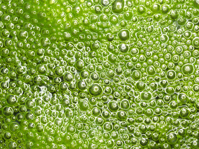 绿色气泡绿色气泡摄影图