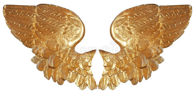五角星一对翅膀孤立的一对金色天使翅膀照片