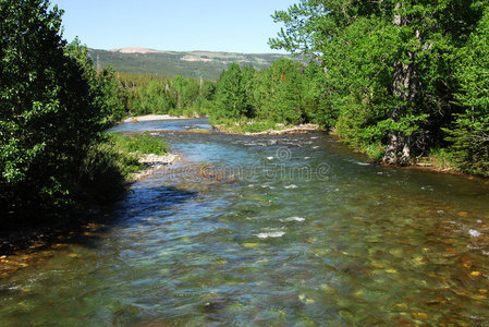 夏山河花岗岩巨石排列在一条山河-阿尔伯塔,加拿大美丽