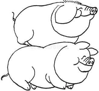 发财猪手猪手画图像照片