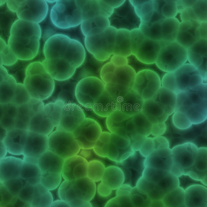 细菌细胞