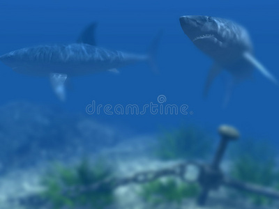 3d鲨鱼