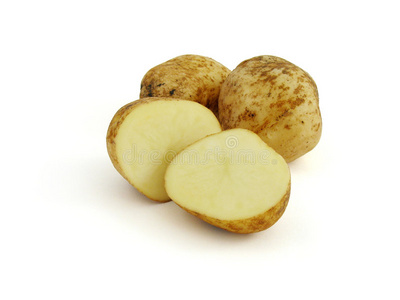 马铃薯块茎