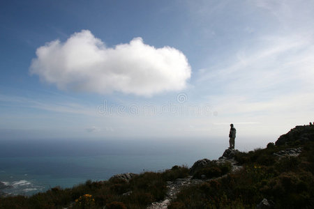 山顶上的蜻蜓图片