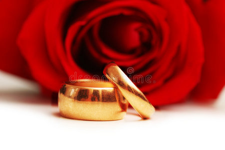 带玫瑰和两枚戒指的婚礼理念