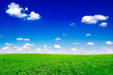 绿地线图片-绿地线素材-绿地线插画-摄图新视界