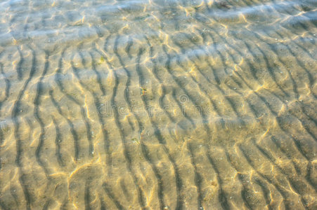 沙质海底图片