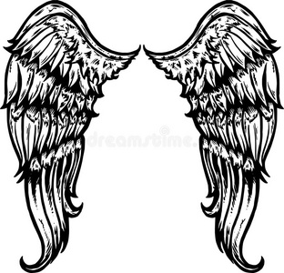 手纹身手绘纹身式翅膀照片