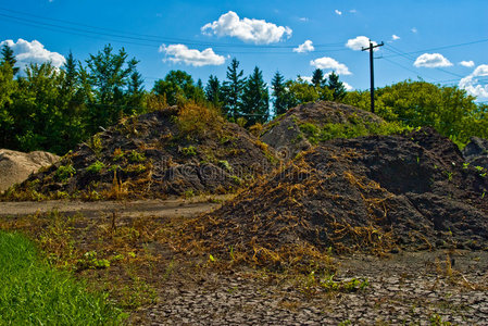 土堆图片