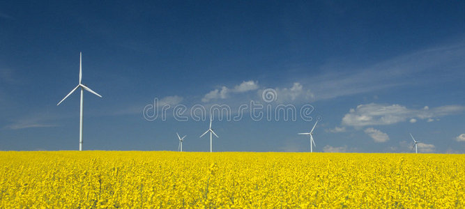 靠近农田的风力涡轮机农场图片