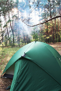 森林中的帐篷