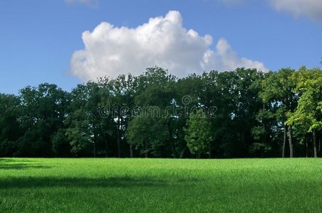 夏季景观