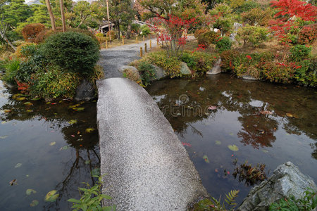 风景桥