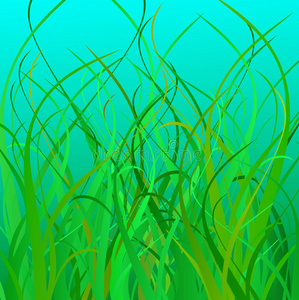 海草简笔画图片