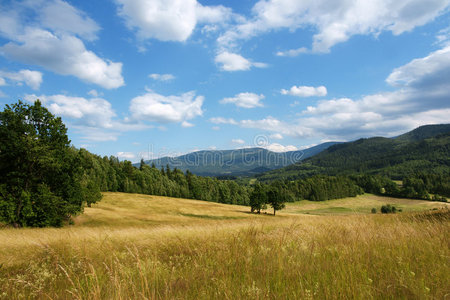 夏季山地