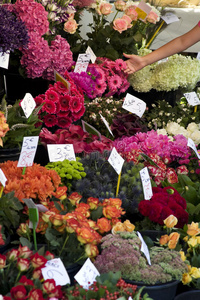 户外农贸市场鲜花