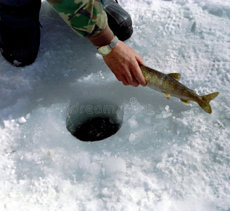 加拿大安大略冬季冰钓