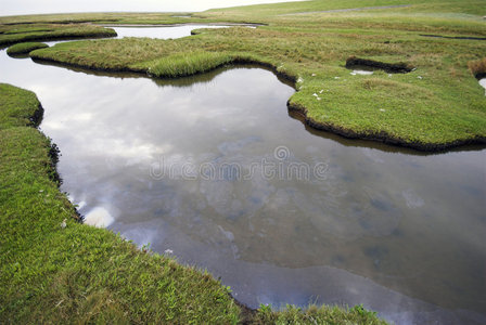 野水景观