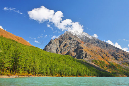 岩石 阿尔卑斯山 悬崖 风景 高地 目的地 阿尔泰 清晰