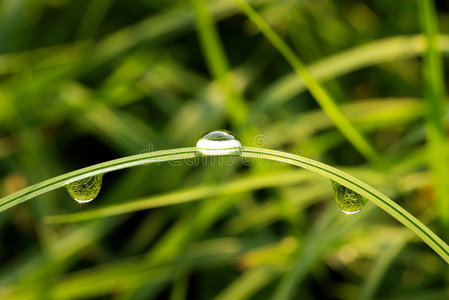 雨滴