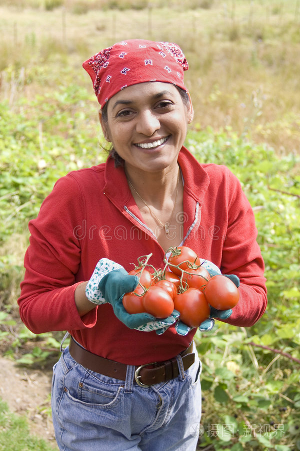 在花园里干活的姑娘们