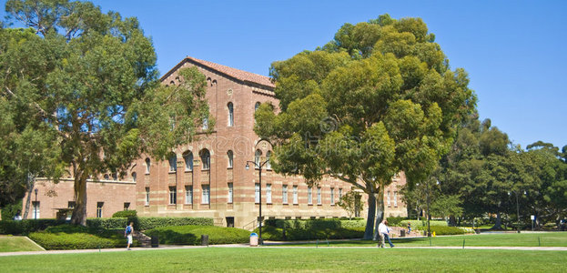 加州大学校园草坪图片