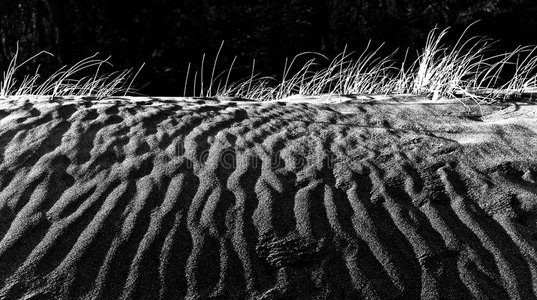 黑色火山沙丘.照片