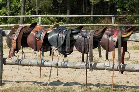 马连鞍图片