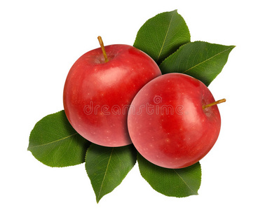 苹果两片红叶