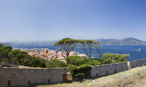 公园里见过在巨大的市场大厅里购物的人里蓬勃发展二观赏的佩斯利图案