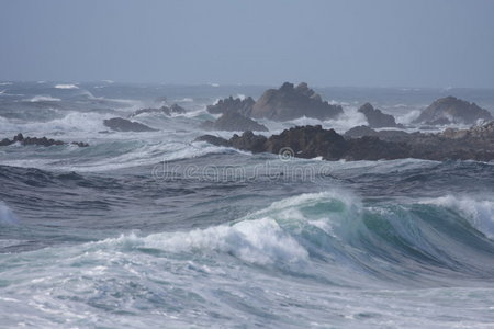 狂野的海洋