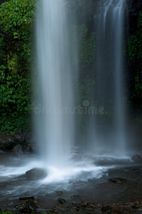 热带雨林中的奇异瀑布