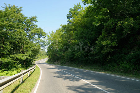 森林中的道路图片