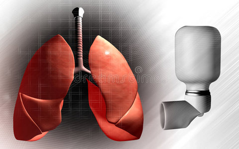 哮喘患者使用的肺和吸入器