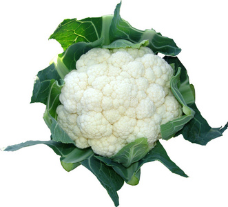 花椰菜油条图片