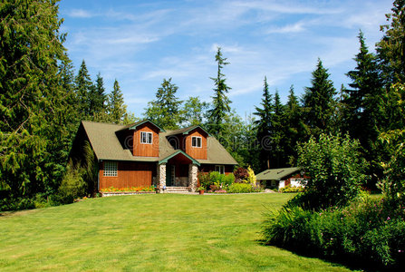 小的抵押贷款树林中的小屋照片