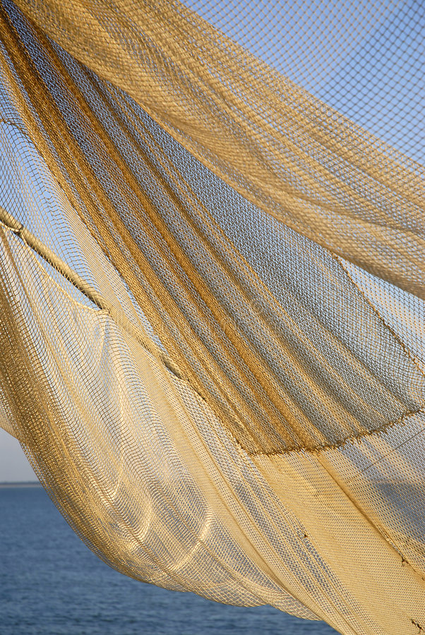 “小鱼小虾都抓光了！”无人机拍下挂心一幕绵绵百米“绝户网”竟成鸟类丧命圈套