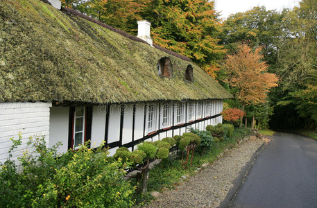 茅草屋顶的小屋图片