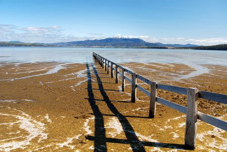 莫蒂默湾