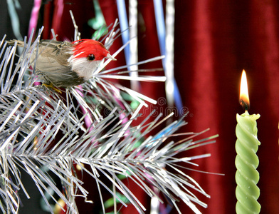 装饰蜡烛和鸟