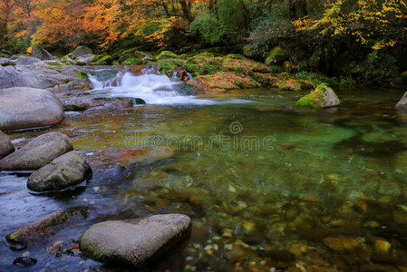 江山秋树