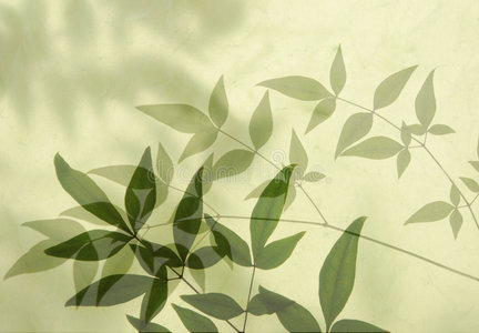 季节阴影图片-季节阴影素材-季节阴影插画-摄图新视界