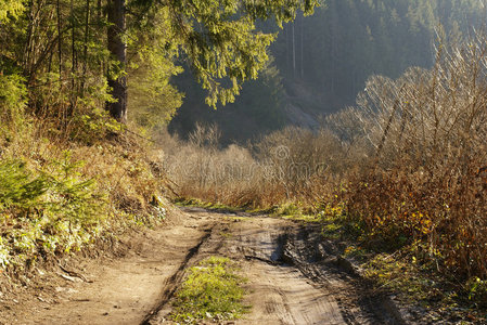 山路